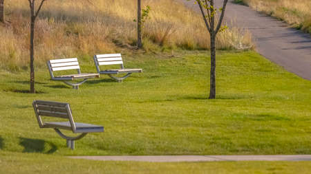 Benches on a park with a pathway lit by sunlightの写真素材