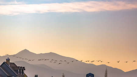Birds flying in the glowing sky in Daybreak Utah