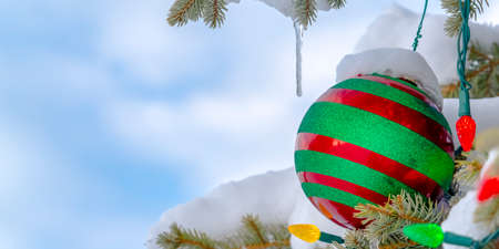 Bauble and lights on snowy outdoor Christmas treeの写真素材