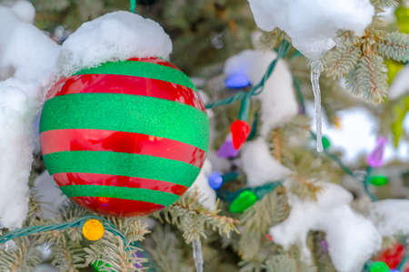 Bauble and lights on a snowy tree with iciclesの写真素材