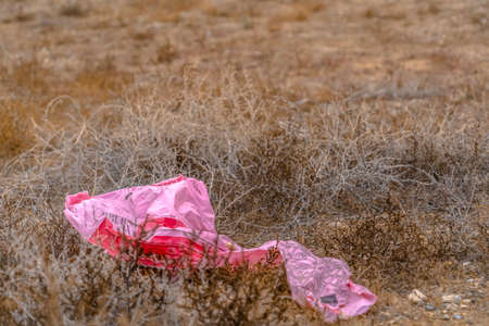 Plastic trash on a grassy ground in Utah Valleyの写真素材