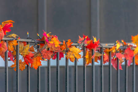 Railing with string of leaves and christmas lightsの写真素材