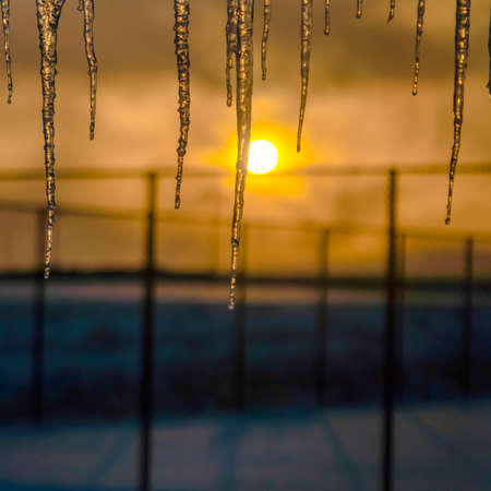 Sparkling icicles against the golden setting sunの写真素材