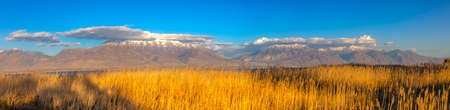 Sunlit grasses against mountain and sky in Utahの写真素材
