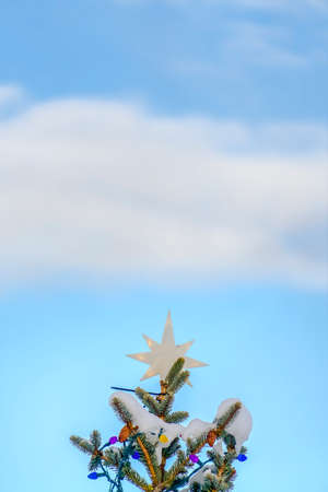 Tree with Christmas decorations against cloudy skyの写真素材