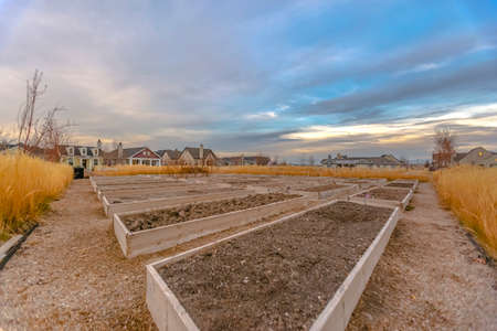 Row of raised beds amid grasses and homes in Utah