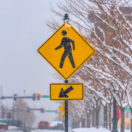 A pedestrian Crossing sign against snowy treesの写真素材