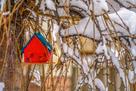 Miniature house hanging on a snowy leafless treeの写真素材