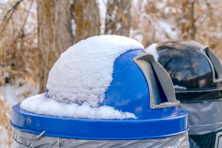 Snowy garbage cans with trees in the background
