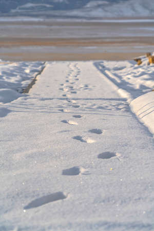 Footprints on the glittering snow covered pathway. Footprints on the glittering snow covered pathway...