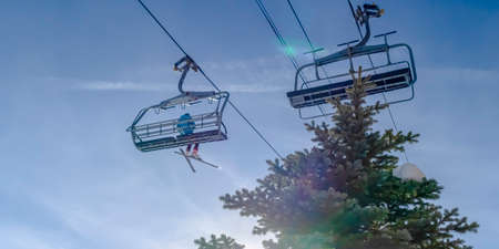 Tree top against ski lifts and bright sky in Utah