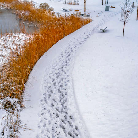 Square Tracks on snowy Oquirrh Lake trail in Daybreakの写真素材