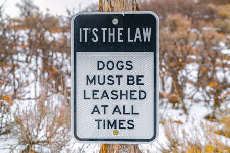 Close up of a Dog Leash sign on a wooden post against a snowy landscapeの写真素材