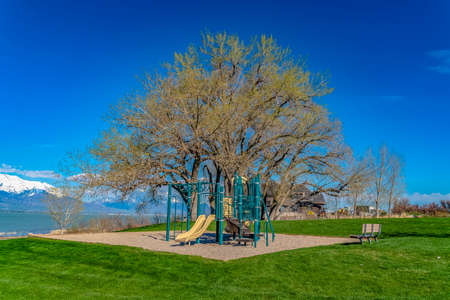 Playground and towering tree in the middle of a grassy field in front of a lakeの写真素材