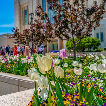 Square Colorful flower garden and fountain outside a grand building against blue sky