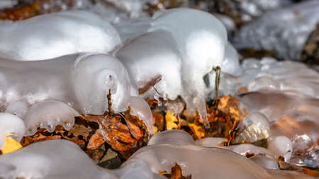 Panorama frame Close up of frozen water on a rocky stream with scattered fallen brown leavesの写真素材