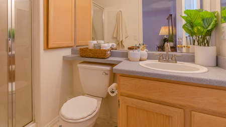 Panorama Interior of a cozy and well lighted bathroom with vanity area and toilet