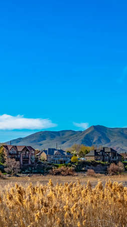 Panorama Lovely houses in front of a lake with brown grasses growing on the shoreの写真素材