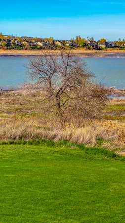 Panorama Bright green grassy field in front of a lake that reflects the blue sky overheadの写真素材