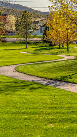 Panorama Pathway winding through a terrain with rich green grasses and young treesの写真素材