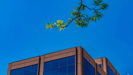 Panorama frame Modern building with blue glass wall against blue sky with fluffy cloudsの写真素材