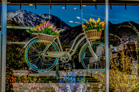 Flowering plants and hanging bicyle with baskets of tulips behind a glass wallの写真素材