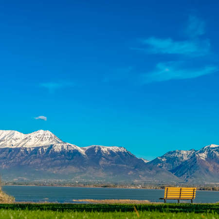Square frame Bright green grassy field with an empty bench in front of a calm lakeの写真素材