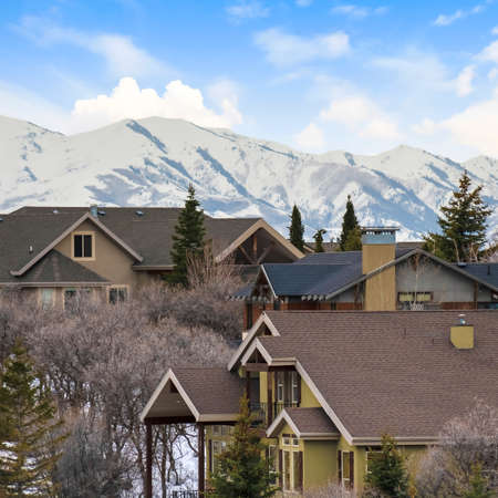 Square Exterior view of homes amid snow covered ground and trees in winter