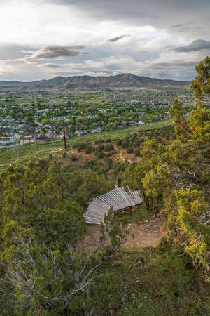 Aerial view of a wooden bridge surrounded by the lush trees in the forestの写真素材