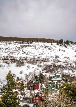 Homes built on a mountain blanketed with snow during winter season. Coniferous trees and cloudy gray sky can also be seen in this frosty landscape.の写真素材