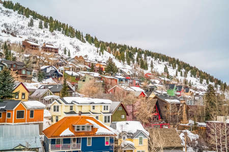 Colorful houses and coniferous trees on a mountain covered with snow in winter. The homes feature roofs and exterior walls painted in various colors.の写真素材