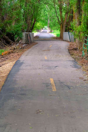 Close up of paved road with faded yellow lines in the middle on a sunny day. Tall trees with vivid...