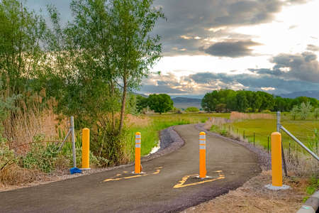 Yellow traffic delineator posts on a road with view of trees and mountain. The road winds through a grassy terrain with a cloudy sky overhead.の写真素材