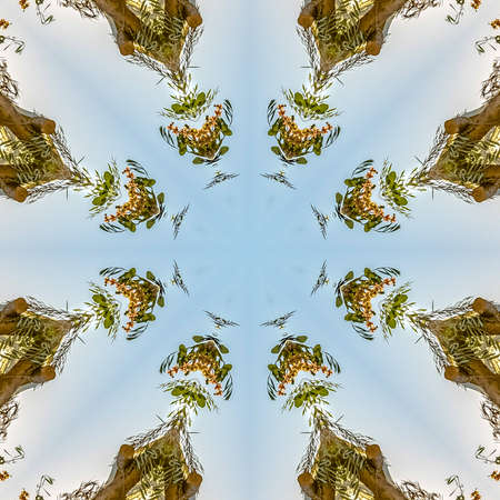 Floral design looking minimalistic made from flowers at a wedding. Geometric kaleidoscope pattern on...