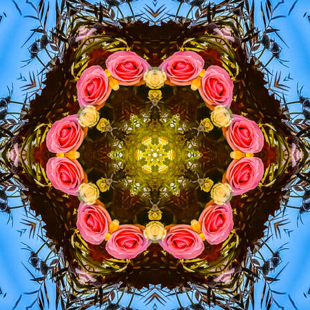 Circular roses pink and yellow on blue sky. Geometric kaleidoscope pattern on mirrored axis of...