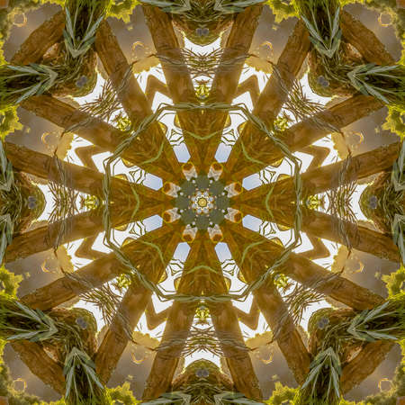 Wild angular shapes of a flower arrangement showing only leaves and stems. Geometric kaleidoscope...