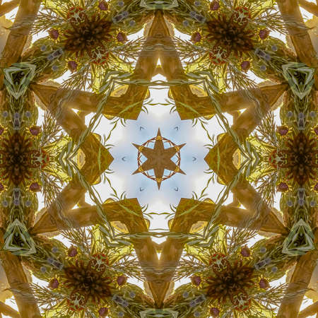 Star design created from a floral arrangement at a Jewish wedding. Geometric kaleidoscope pattern on...