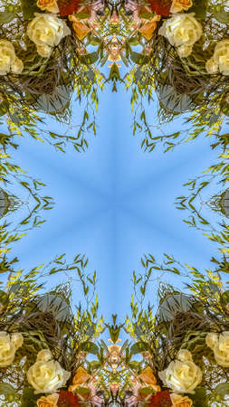 Vertical frame Floral design with interesting angles and colorful flowers. Geometric kaleidoscope pattern on mirrored axis of symmetry reflection. Colorful shapes as a wallpaper for advertising background or backdrop.の写真素材