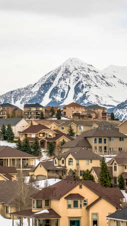 Vertical frame Exterior view of homes surrounded by fresh white snow and conifers in winterの写真素材