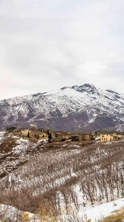 Vertical Snowy mountain with leafless trees multi storey homes and road viewed in winterの写真素材