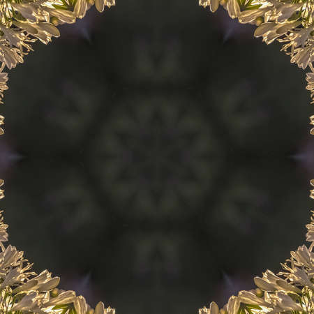 Square frame Circular design with copy space made from white flowers with dome shape design