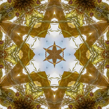 Square Star design created from a floral arrangement at a Jewish wedding. Geometric kaleidoscope pattern on mirrored axis of symmetry reflection. Colorful shapes as a wallpaper for advertising background or backdrop.の写真素材