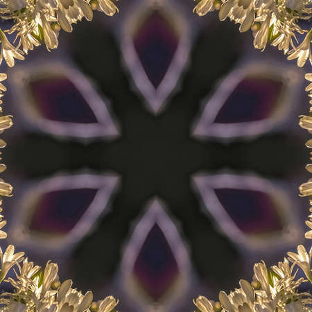 Square frame Circular glowing star shape iwth white flowers relfected around it in abstract copy...