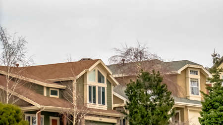 Panorama frame Exterior view of multi storey homes on a neighborhood under an overcast sky. Lush...