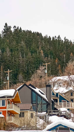Vertical frame Mountain homes with snow covered roofs aginst coniferous trees and cloudy sky. Wooden...