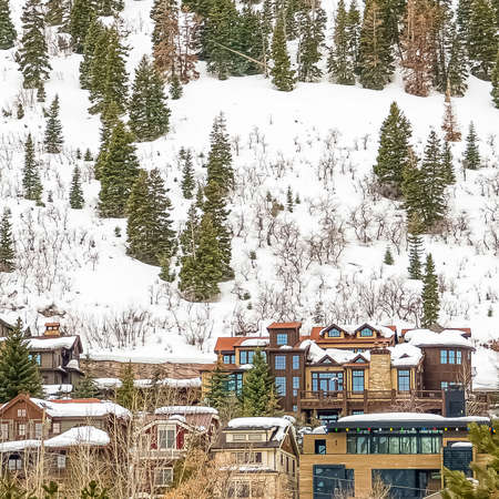 Square Scenic winter view of lush coniferous trees on a mountain covered with snow. Multi-storey...