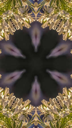 Vertical frame Circular abstract design shape made from California photo of white flowers in the...