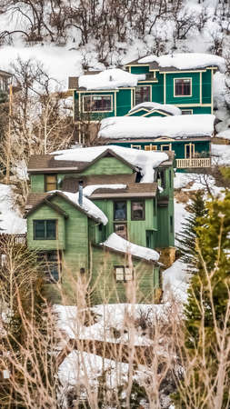 Vertical Scenic winter landscape with colorful houses built on the snowy mountain slopeの写真素材