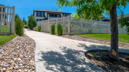 Panorama Tree in the middle of a concrete and stone pathway against homes and blue skyの写真素材