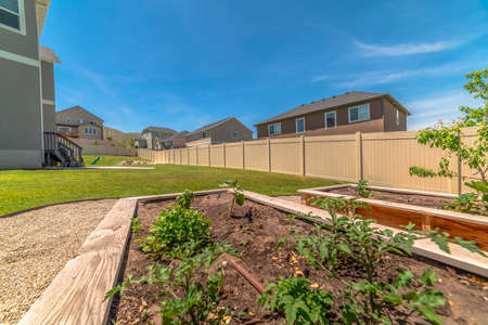 Close up of growbeds at the sunny backyard of a home with gravel and grasses. Vegetables grow inside the wooden raised garden beds filled with soil.の写真素材